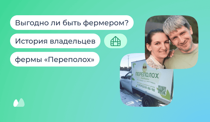 Как зарабатывать на несушках и цыплятах: опыт владельцев фермы «Переполох»